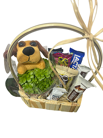 🎁🌿 Cesta Especial com Suculenta, Chocolates e Pelúcia 🧸🍫