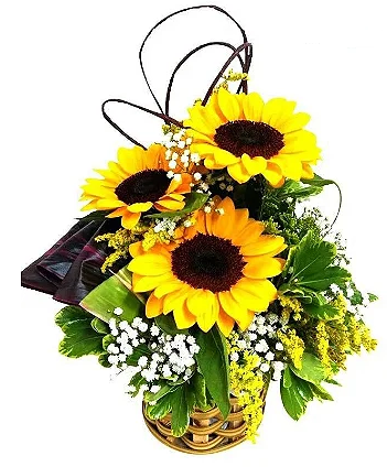 Arranjos de flores - Trio de Girassol - Com carinho
