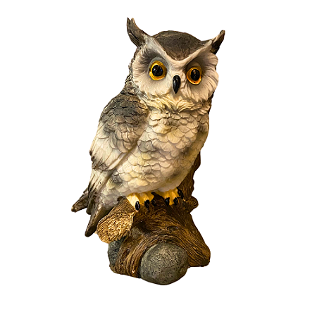 Coruja - O Totem dos Sábios