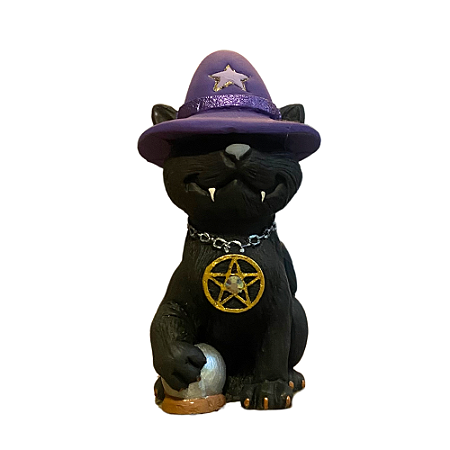 Gato da Bruxa
