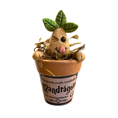 Mandrágora no Vasinho