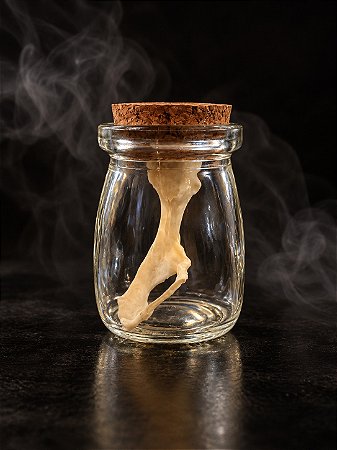 Osso Ritualístico - Ilio