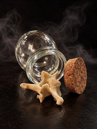 Osso Ritualístico - Vértebra Pequena