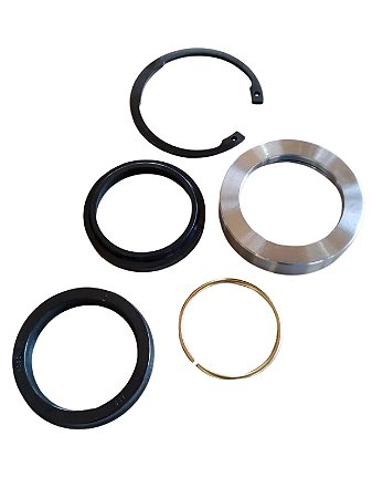 Reparo Pistão Plataforma Massey Ferguson C/ Colar 3175319