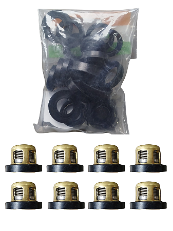 Kit Reparo Bomba Jacto Jp100 E 8 Válvulas Do Cabeçote 108126