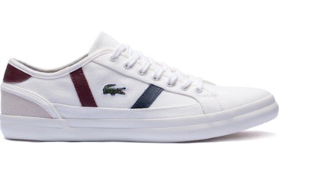 Lacoste sapato hotsell