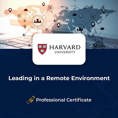 Leading in a Remote Environment