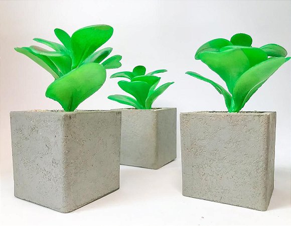 Mini Vaso Decorativo Com Planta Artificial Permanente Fixada Arranjo Jardim Decoração Rustico Vasinho