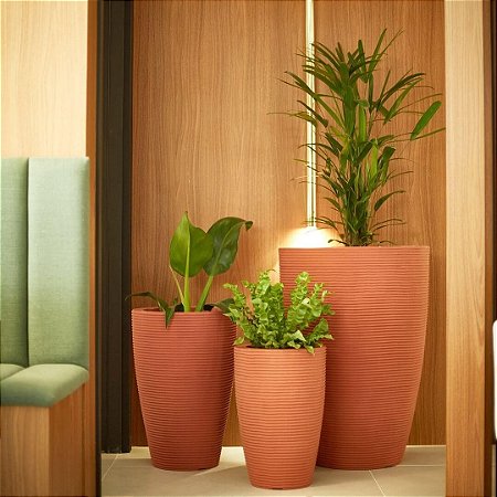 Composição de 3 vasos Cone Terracota com Plantas