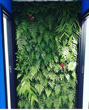 Jardim vertical com plantas preservadas