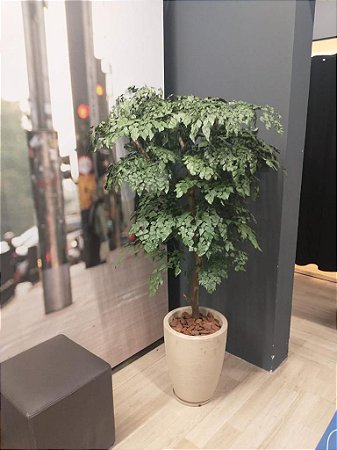 Vaso com planta preservada