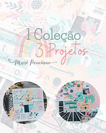 1 Coleção - 3 Projetos