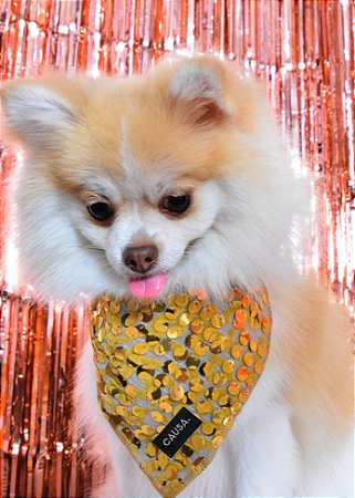 Bandana Pet de Paetê Dourado