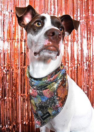 Bandana Pet de Paetê Estampado