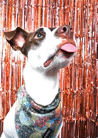 Bandana Pet Paetê Estampada