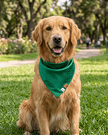 Bandana Pet COLAB BENDOG