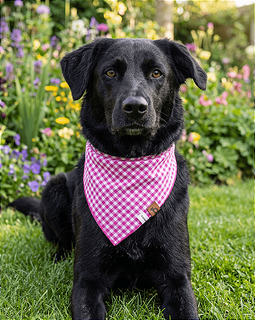 Bandana Pet Estampada COLAB Pet BENDOG