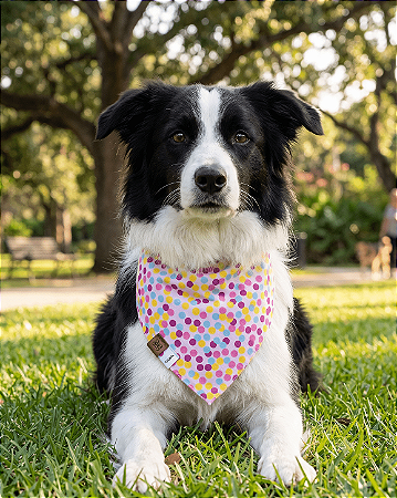 Bandana Pet Estampada COLAB Pet BENDOG