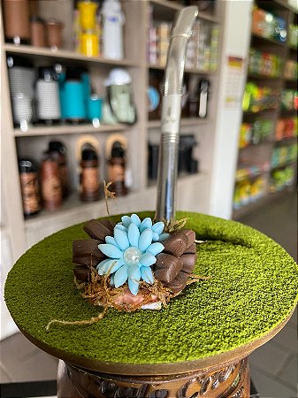 ENFEITE CHIMARRÃO BISCUIT TRONCO COM FLORES