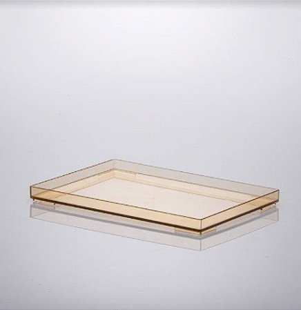 Bandeja LIV 25x17x2cm Amber - Paramount 1640
