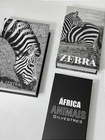 Conjunto de Caixas Decorativas Zebra Organize-it 02506
