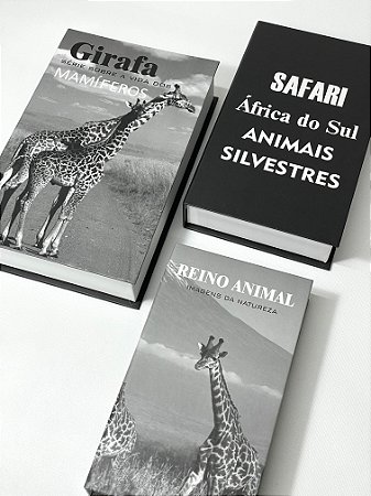 Conjunto de Caixas Decorativas Girafa Organize-it 12506