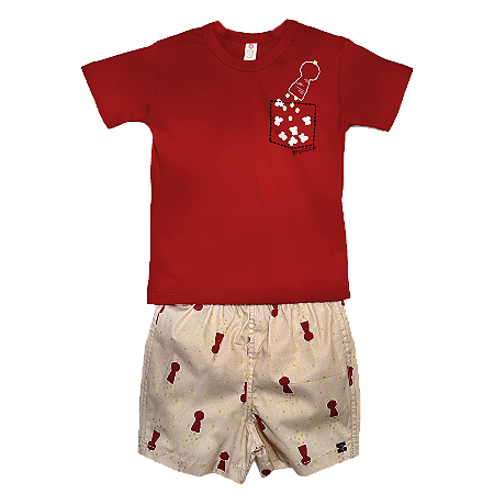 CONJUNTO ESTAMPA TEMPERINHOS DO CHEFE