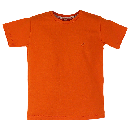 BLUSA BASICA LARANJA