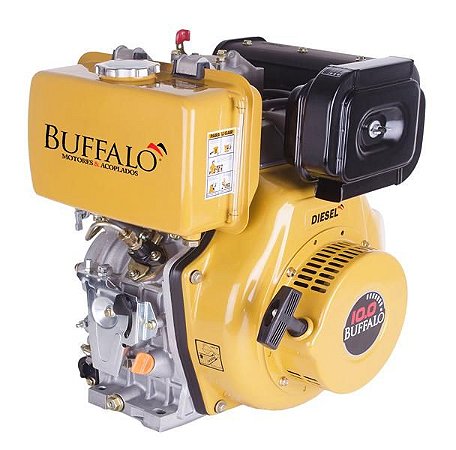 Motor Buffalo Diesel Bfde 10cv Filtro De Ar A Seco P. Eletrica