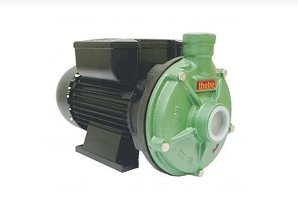 Bomba D' Água Thebe Th-16 Al 2cv Monofásica Ip55 127/220v