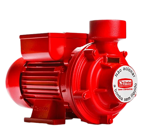 Bomba D' Água Thebe Thi-13 1cv Monofásico Ip55 127/220/254v
