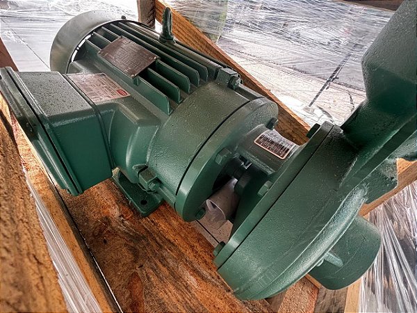 Bomba R-20(R) 15cv Rt.197X5 Trifásica 220/440v Ip55 Motor Nova
