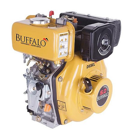 Motor BFD 5.0 a Diesel Com Partida Manual Buffalo