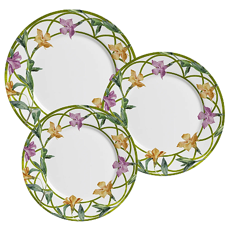 Aparelho De Jantar Jogo Pratos Kit 12 Peças Campos Cerâmica Decorados Floridos Alleanza