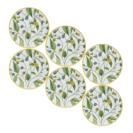 Jogo de Prato Raso Jantar Refeição 29cm Kit 6 Peças Silvestre
