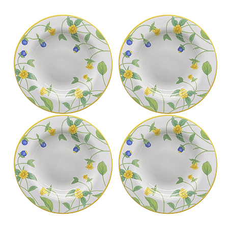 Jogo de Prato Fundo 25cm Kit 4 Pçs Sopa Silvestre Alleanza