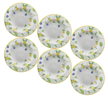 Jogo de Prato Fundo 25cm Kit 6 Peças Sopa Silvestre Alleanza