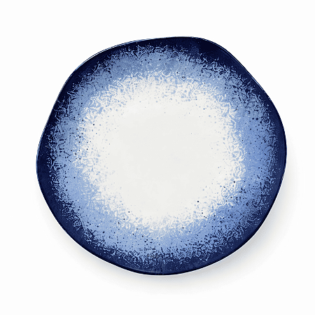 Prato Raso Jantar Refeição 27,5cm Galápagos Porcelana Decorada Oxford