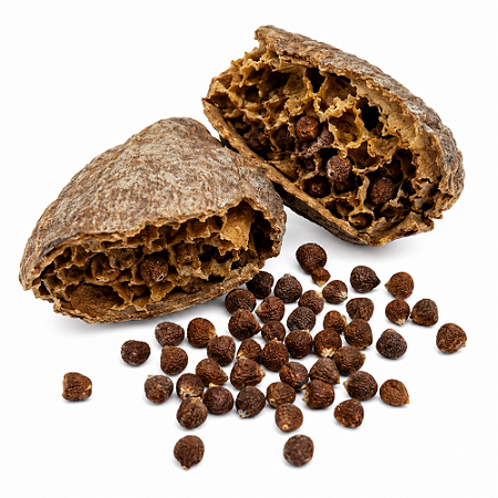 Ataré (Pimenta-da-Costa) 10g | Aframomum melegueta Natural para Uso Tradicional – Maria Jupyra