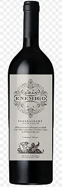 Vinho Argentino Gran Enemigo Gualtallary 2020 750ml