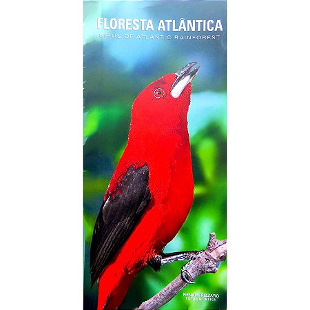 Guia de Aves Floresta Atlântica / Birds of Atlantic Rainforest