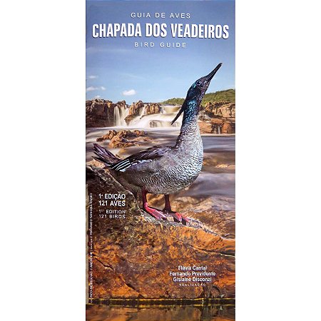 Guia de Aves Chapada dos Veadeiros