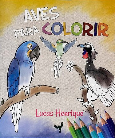 Aves para Colorir