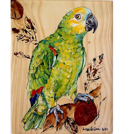 Papagaio-verdadeiro 1 - arte em madeira Bio & Mãe Terra
