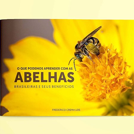 O que podemos aprender com as abelhas brasileiras e seus benefícios