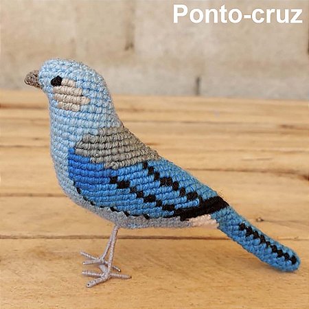 Sanhaço-de-encontro-azul - miniatura Pássaros Caparaó ponto-cruz