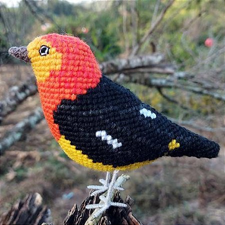 Uirapuru-laranja - miniatura Pássaros Caparaó ponto-cruz