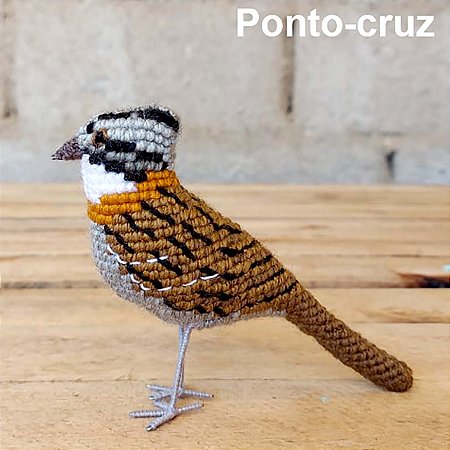 Tico-tico - miniatura Pássaros Caparaó ponto-cruz