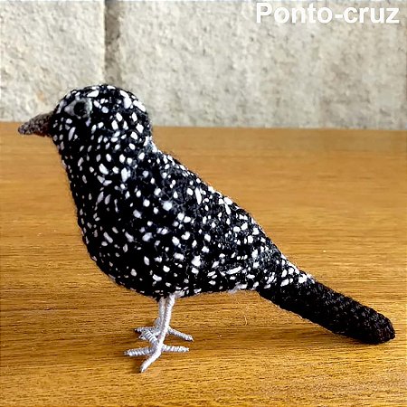 Borralhara-assobiadora - miniatura Pássaros Caparaó ponto-cruz
