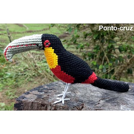 Tucano-de-bico-verde - miniatura Pássaros Caparaó ponto-cruz